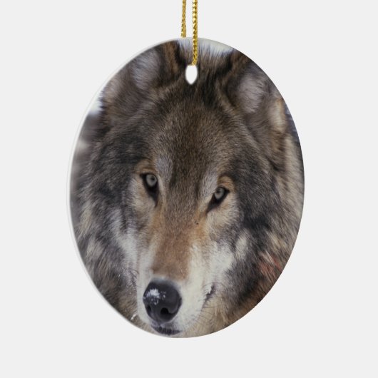 Wolf Gaze Ornament (Rechts)