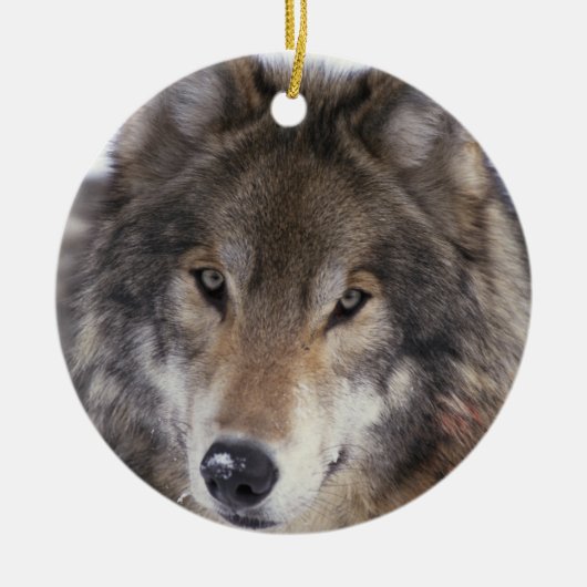 Wolf Gaze Ornament (Voorkant)