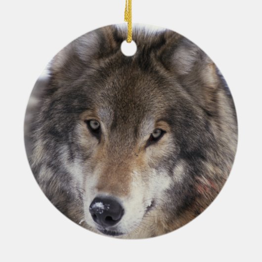 Wolf Gaze Ornament (Achterkant)