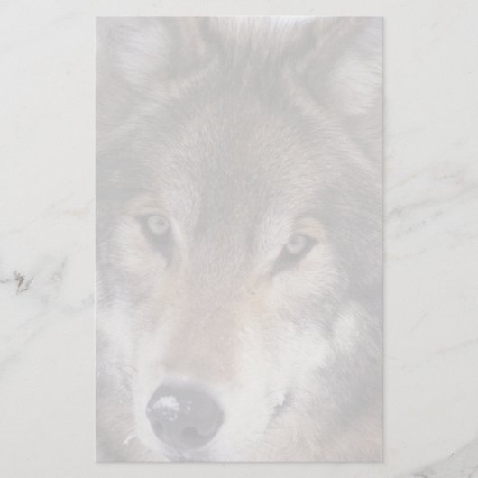 Wolf Gaze Stationery Briefpapier (Voorkant)