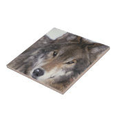 Wolf Gaze Tegeltje (Zijkant)