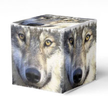 Wolf gezicht close-up