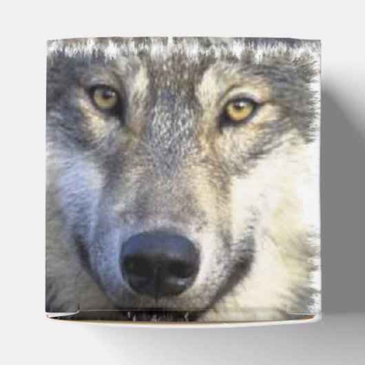 Wolf gezicht close-up bedankdoosjes (Bovenkant)