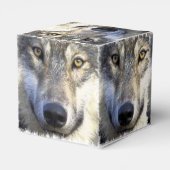 Wolf gezicht close-up bedankdoosjes (Achterkant)