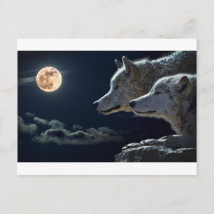 Wolf Gifts Briefkaart