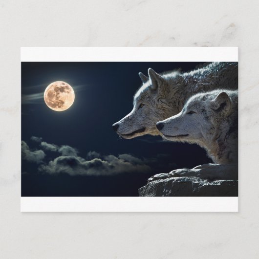 Wolf Gifts Briefkaart (Voorkant)