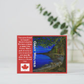 Wolf! Grijze wolven en Barred Owl. Briefkaart (Staand voorkant)