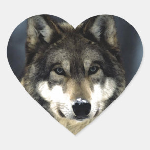 Wolf Hart Sticker