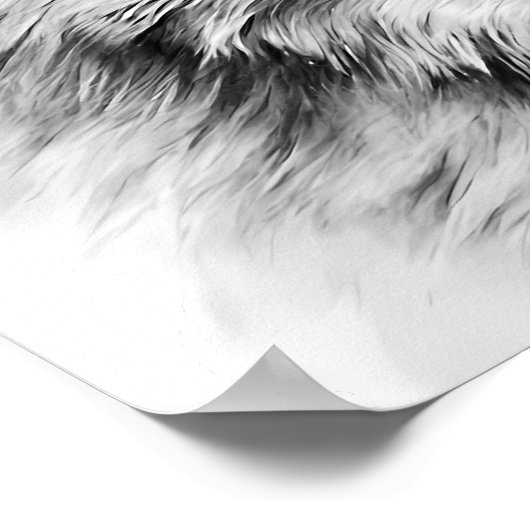 Wolf Head Portrait Black white Poster (Hoek)