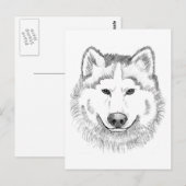 Wolf Head Sketch Briefkaart (Voorkant / Achterkant)