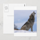 Wolf Howl Briefkaart (Voorkant / Achterkant)