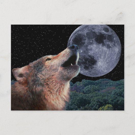 Wolf Howling bij de Volledige maan - Multi-Product Briefkaart (Voorkant)