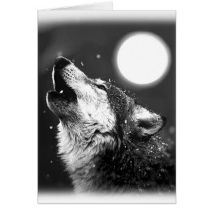Wolf Howling bij Moon