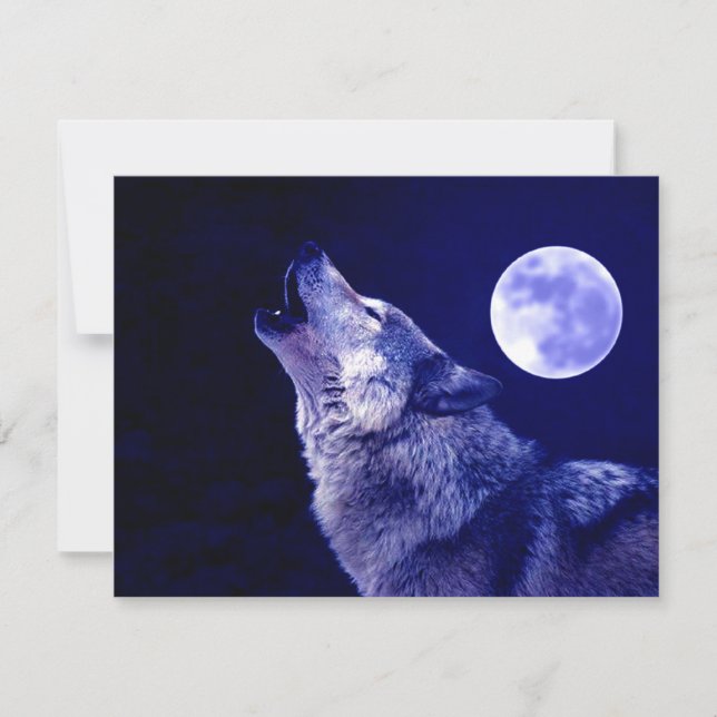 Wolf Howling bij Moon (Voorkant)