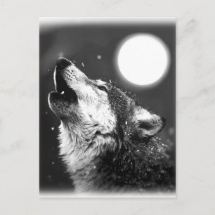 Wolf Howling bij Moon Briefkaart