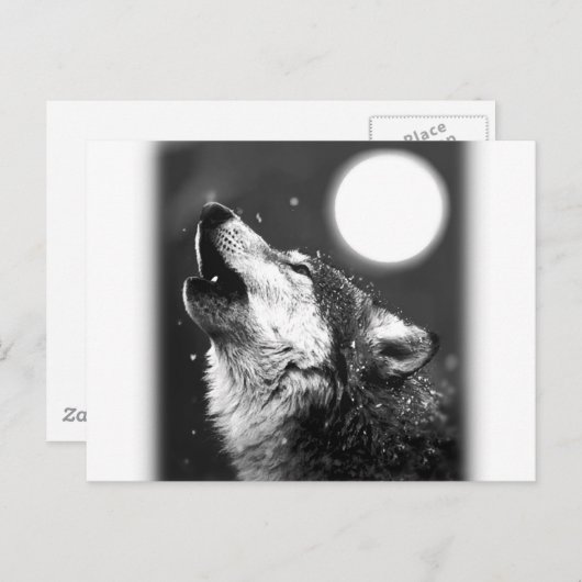 Wolf Howling bij Moon Briefkaart (Voorkant / Achterkant)