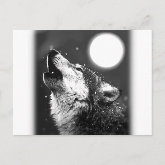 Wolf Howling bij Moon Briefkaart (Voorkant)