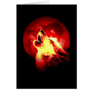 Wolf Howling in Red Night