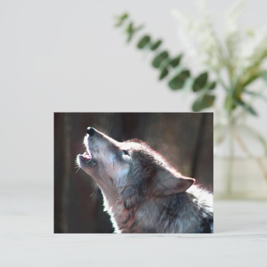 Wolf Howling Lone Wolf Briefkaart (Staand voorkant)