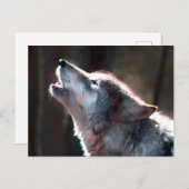 Wolf Howling Lone Wolf Briefkaart (Voorkant / Achterkant)