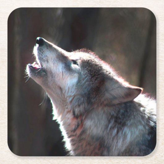 Wolf Huilende Eenzame Wolf Kartonnen Onderzetters (Voorkant)