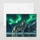 Wolf huilt onder het noorderlicht briefkaart (Voorkant / Achterkant)