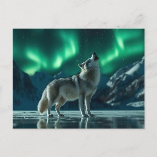 Wolf huilt onder het noorderlicht briefkaart (Voorkant)