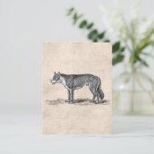  Wolf Illustratie - Sjabloon van 1800 Wolven Briefkaart (Staand voorkant)
