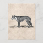  Wolf Illustratie - Sjabloon van 1800 Wolven Briefkaart (Voorkant)