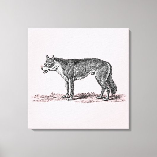 Wolf Illustratie - Sjabloon van 1800 Wolven Canvas Afdruk (Voorkant)