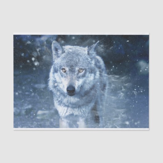 Wolf in Blizzard Tissuepapier (Voorkant)