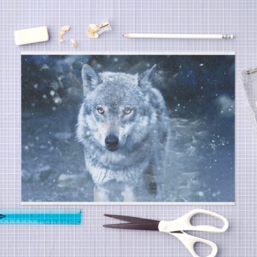 Wolf in Blizzard Tissuepapier (Craft)