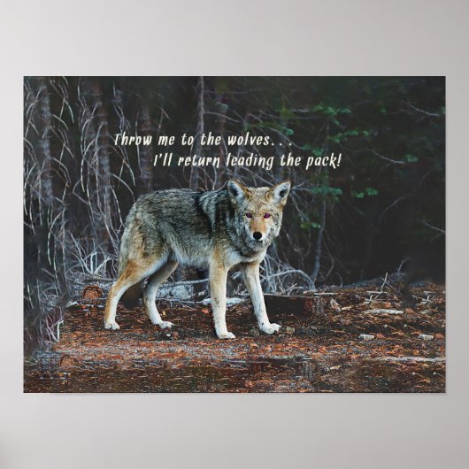Wolf in de Bossen geeft Leading Pack terug Poster (Voorkant)