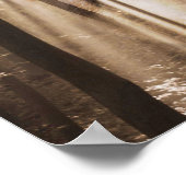 Wolf in de bossen poster (Hoek)