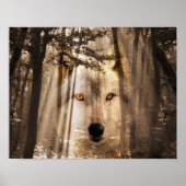 Wolf in de bossen poster (Voorkant)