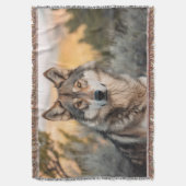 Wolf in de natuur deken (Voorkant Verticaal)