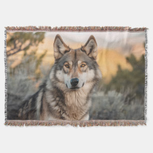 Wolf in de natuur deken
