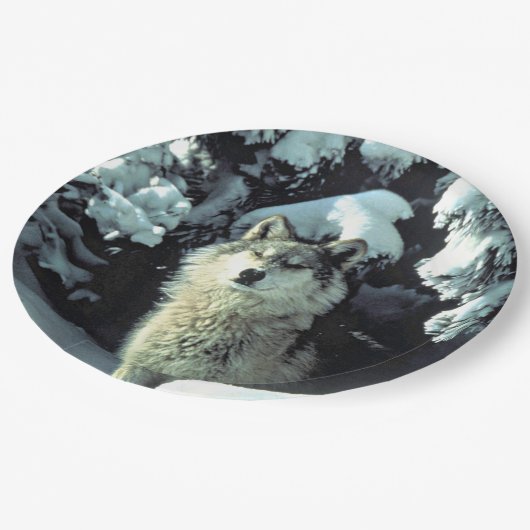 Wolf in de sneeuw papieren bordje (Gekanteld)