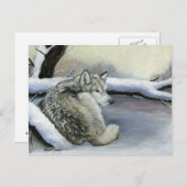 Wolf in de Sneeuwse Art Post Card Briefkaart (Voorkant / Achterkant)