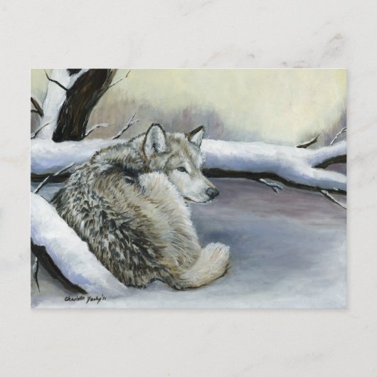Wolf in de Sneeuwse Art Post Card Briefkaart (Voorkant)
