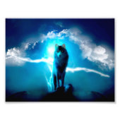 Wolf in de storm foto afdruk (Voorkant)