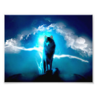 Wolf in de storm