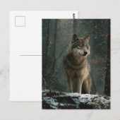 Wolf in de Winter Briefkaart (Voorkant / Achterkant)