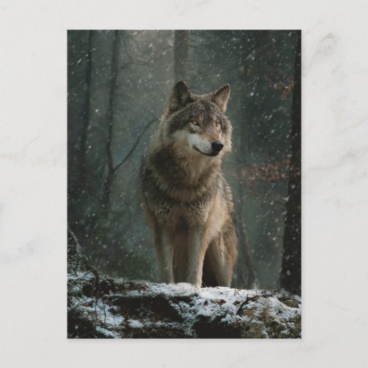 Wolf in de Winter Briefkaart (Voorkant)