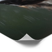 Wolf in een Rainstorm Wildlife Cabin Poster (Hoek)