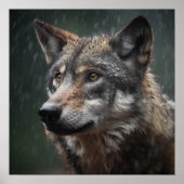 Wolf in een Rainstorm Wildlife Cabin Poster (Voorkant)