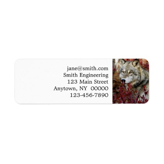 Wolf in Herfst Etiket (Voorkant)