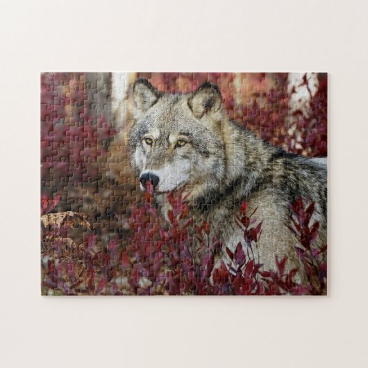 Wolf in Herfst Legpuzzel (Horizontaal)