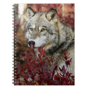 Wolf in Herfst Notitieboek