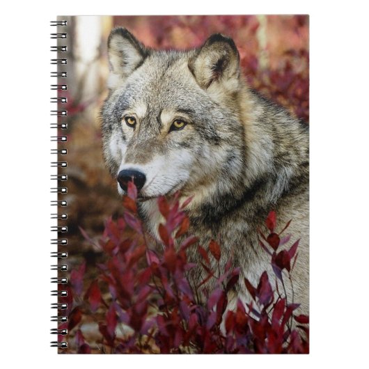 Wolf in Herfst Notitieboek (Voorkant)